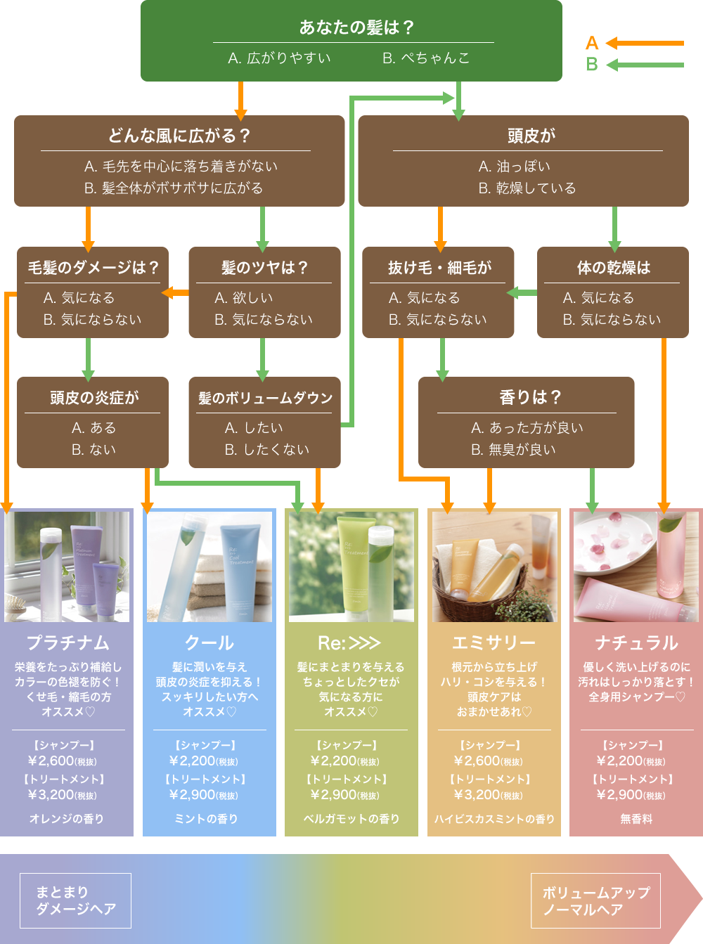 あなたの毛髪にピッタリのアイテムは？